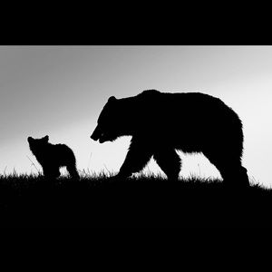 Meet your Posher, Fabian